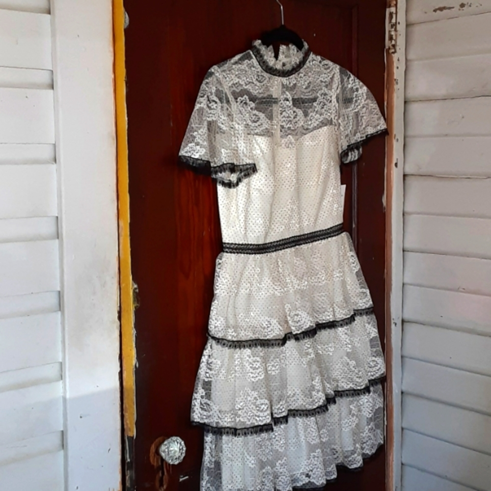Shoshanna  sz 4 Stacia dress color nude/jet dot pattern contrast lace trim